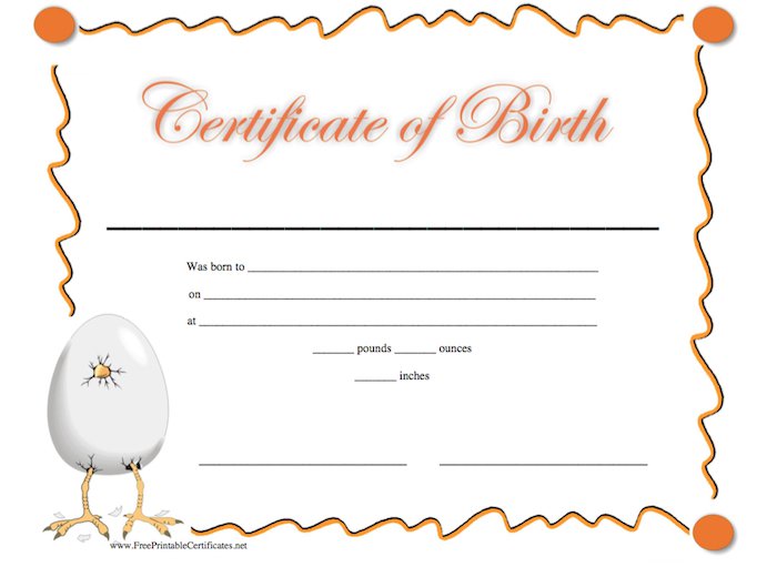 15 Birth Certificate Templates (Word & PDF)   Template Lab