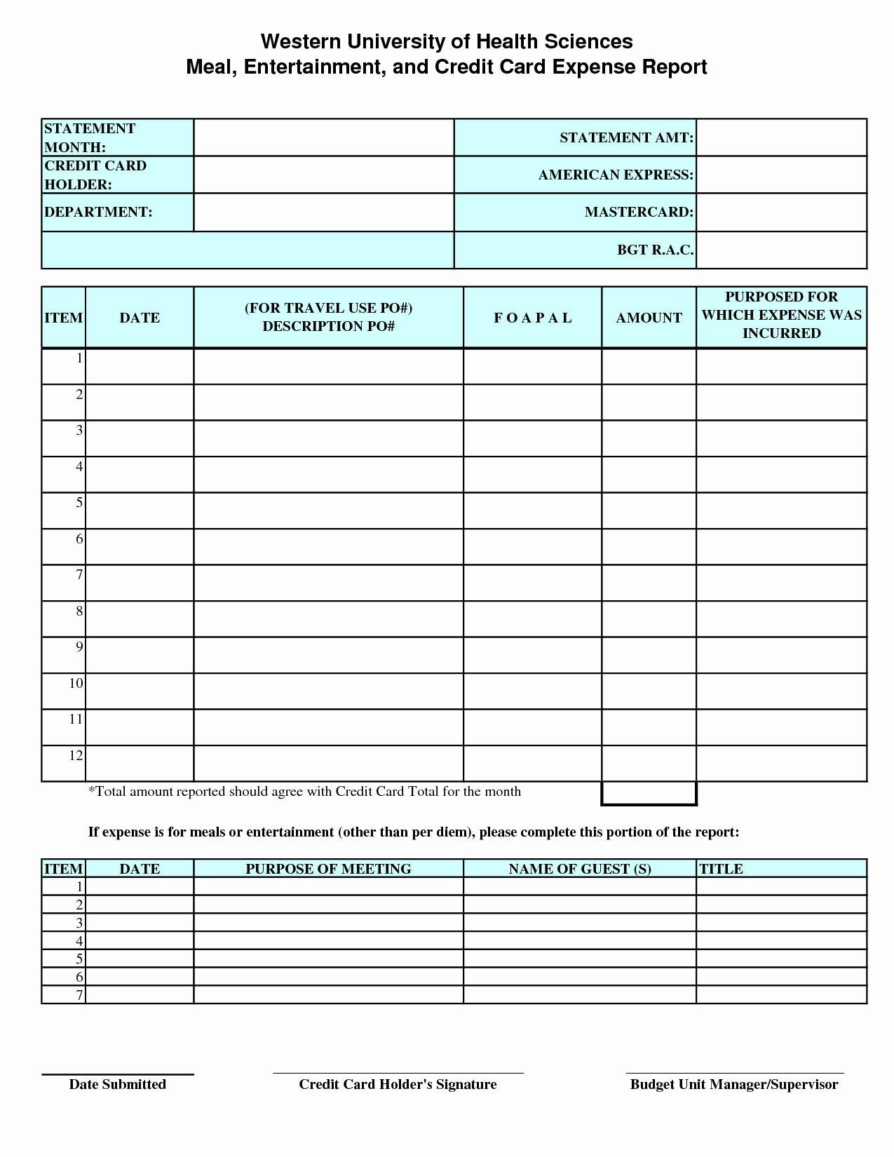 Credit Card Expense Report Template charlotte clergy coalition