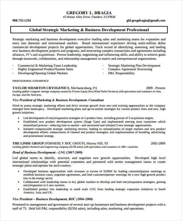 Marketing Business Development Resume