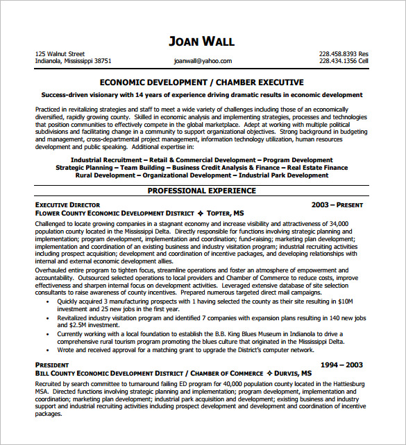 Non Profit Executive Resume Template