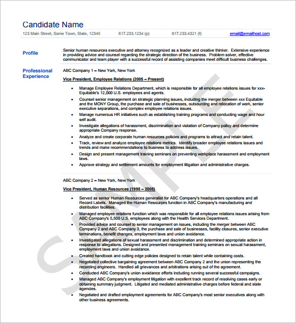 Senior HR Executive Resume Template