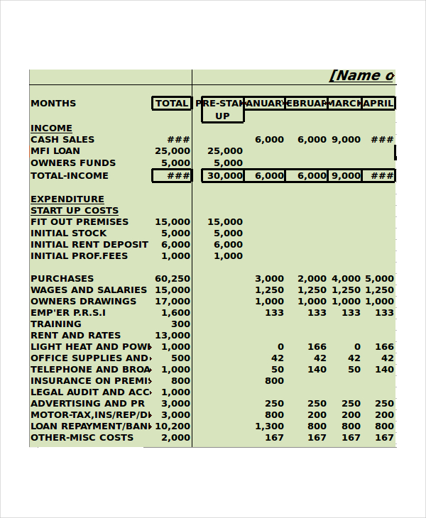 Monthly Cash Flow Template Excel