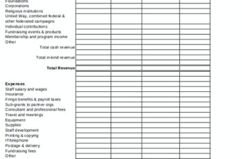 Nonprofit Program Budget Template