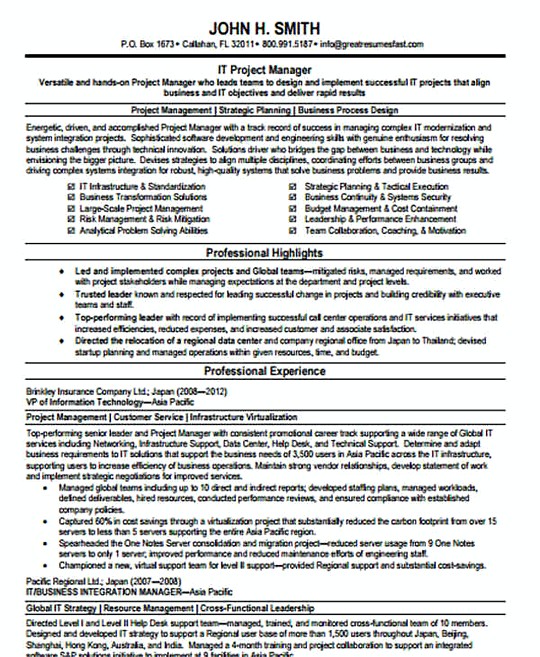 Assistant IT Manager resume template