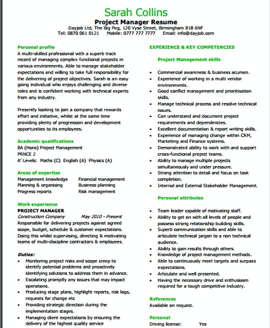 Entry Level IT Project Manager resume template