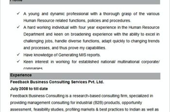 Executive HR And Admin Sample resume template