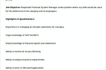 Financial Systems Manager resume template