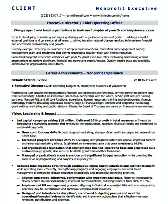 IT Executive Director resume template