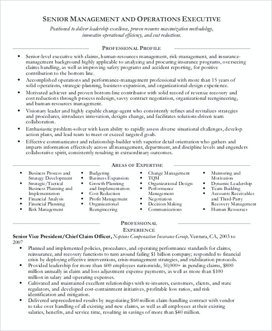 Operations Manager resume template Example