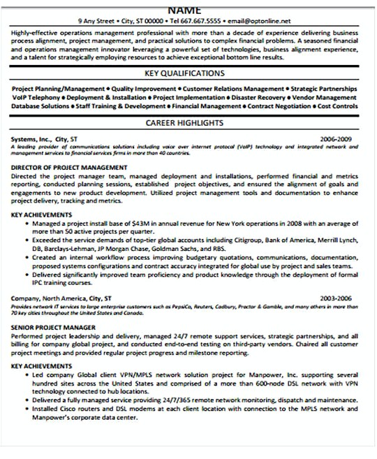 Professional IT Project Manager resume template