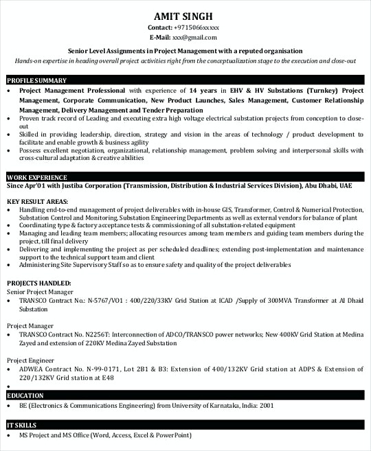 Project Manager resume template Sample