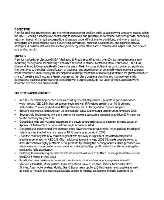 Sales Manager resume template Example