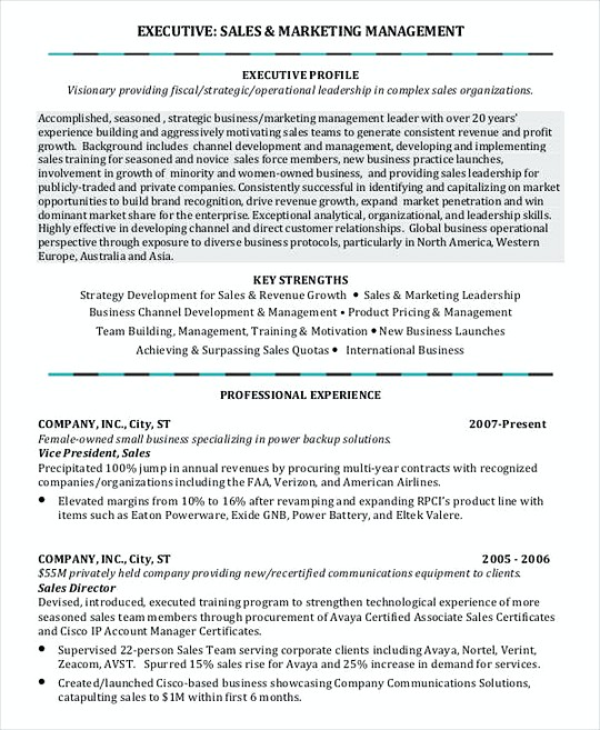 Sales and Marketing Manager resume template