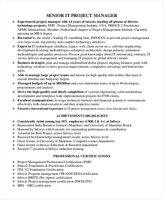 Senior Project Manager resume template