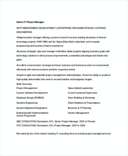 Software Development Manager resume template