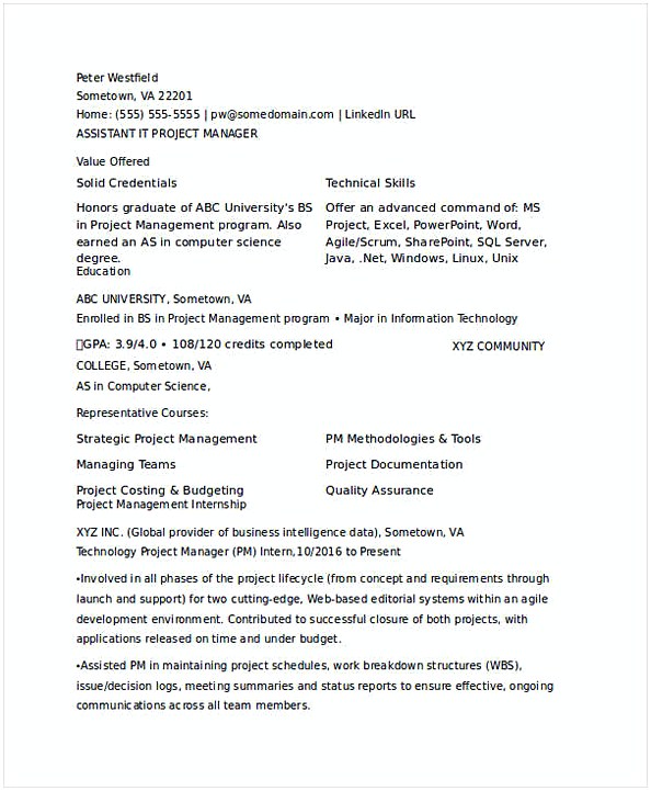 Assistant IT Project Manager Resume Assistant IT Project Manager Resume