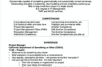 Business Analyst Project Management Resume