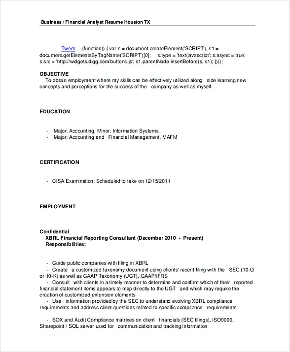 Business Financial Analyst Resume Template in PDF Business Financial Analyst Resume Template in PDF