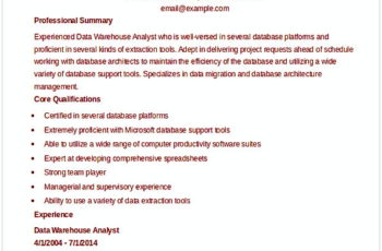 Data Warehouse Analyst Resume Template