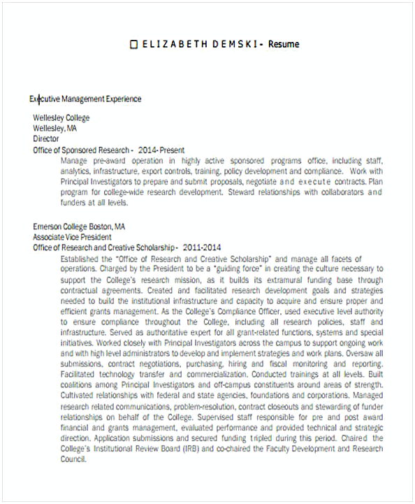 Executive Resume template Executive Resume template