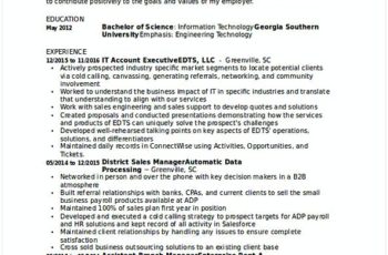 IT Account Executive Resume