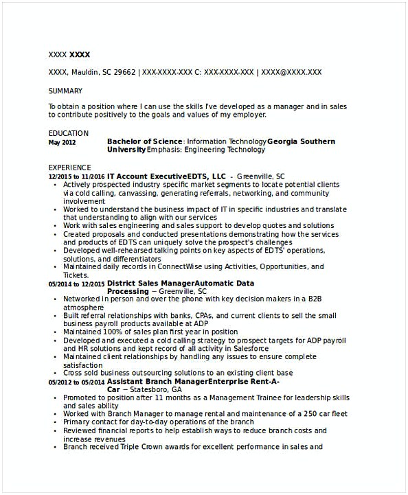 IT Account Executive Resume IT Account Executive Resume