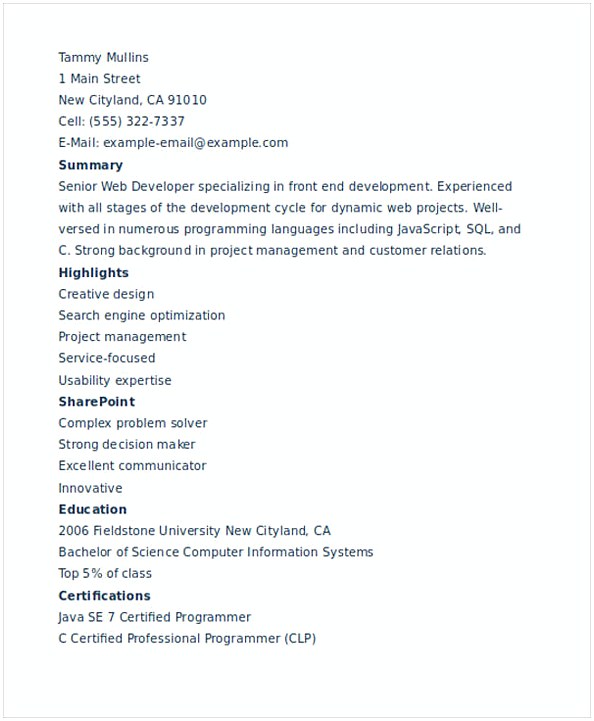 IT Web Developer Resume IT Web Developer Resume