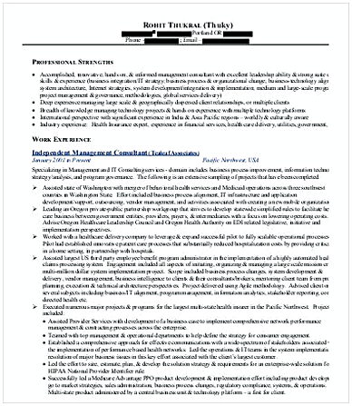 Independent Management Consulting Resume Independent Management Consulting Resume