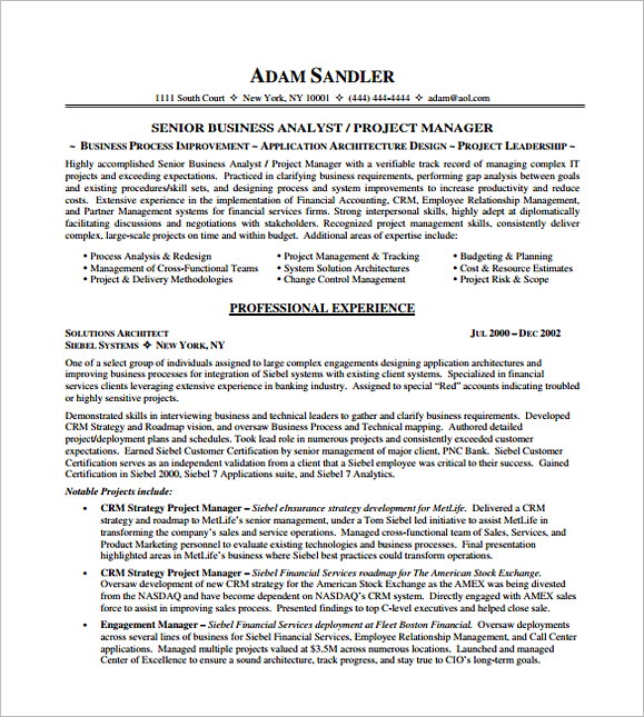 IT Project Manager Resume PDF Free Template IT Project Manager Resume PDF Free Template