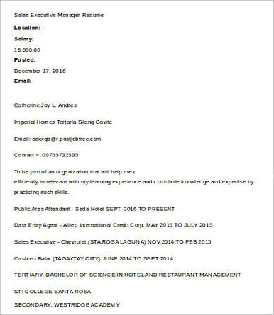 Sales Executive Manager Resume1 Sales Executive Manager Resume1