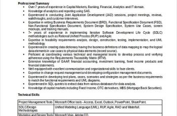 Senior Business Analyst Resume