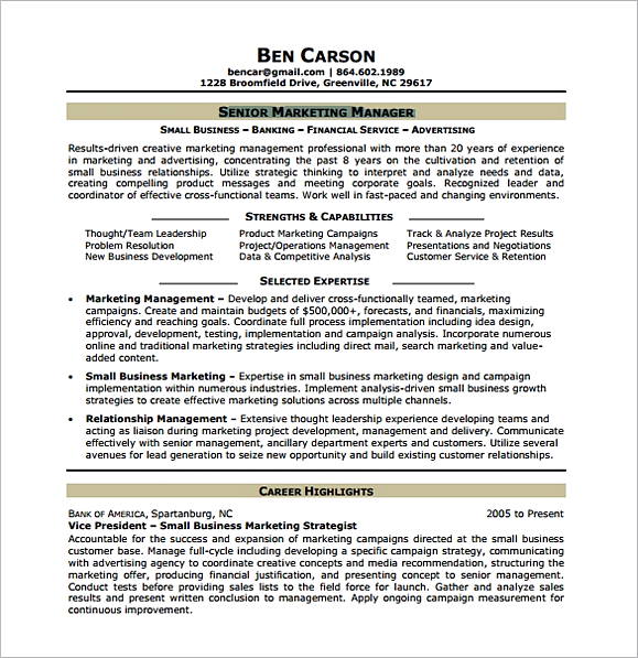 Senior Marketing Analyst Resume Senior Marketing Analyst Resume