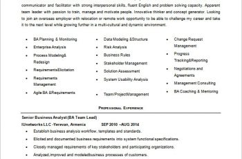 Junior Business Analyst Resume Word