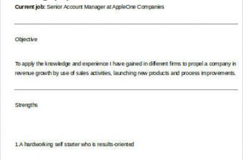 Sales Account Manager Resume 1