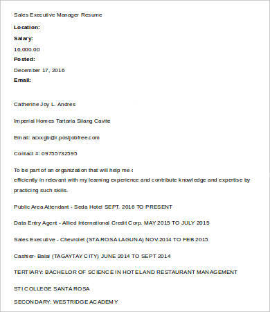 Sales Executive Manager Resume1 1 Sales Executive Manager Resume1 1