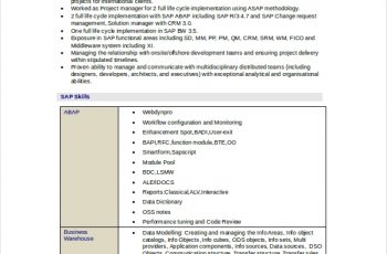Technical Consultant Resume