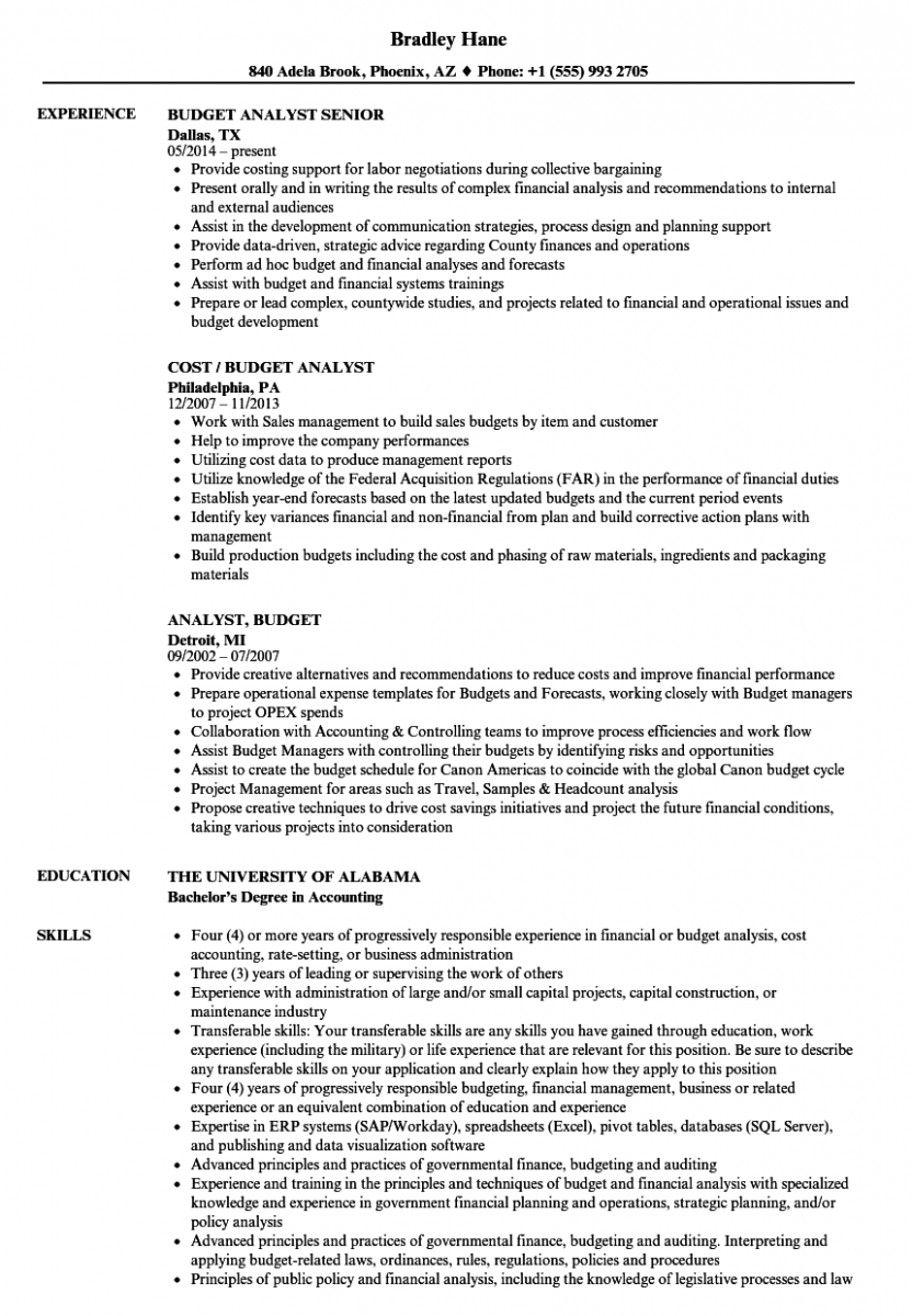 analyst budget resume sample analyst budget resume sample
