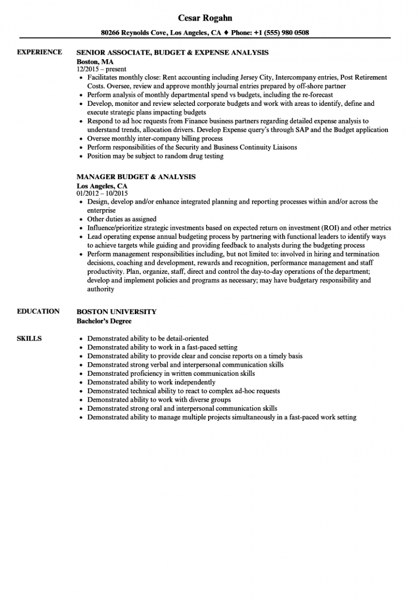 budget analysis resume sample budget analysis resume sample