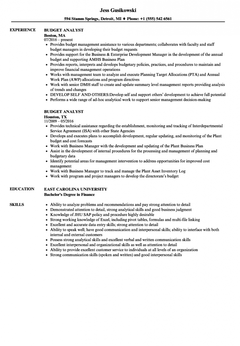 budget analyst resume sample budget analyst resume sample