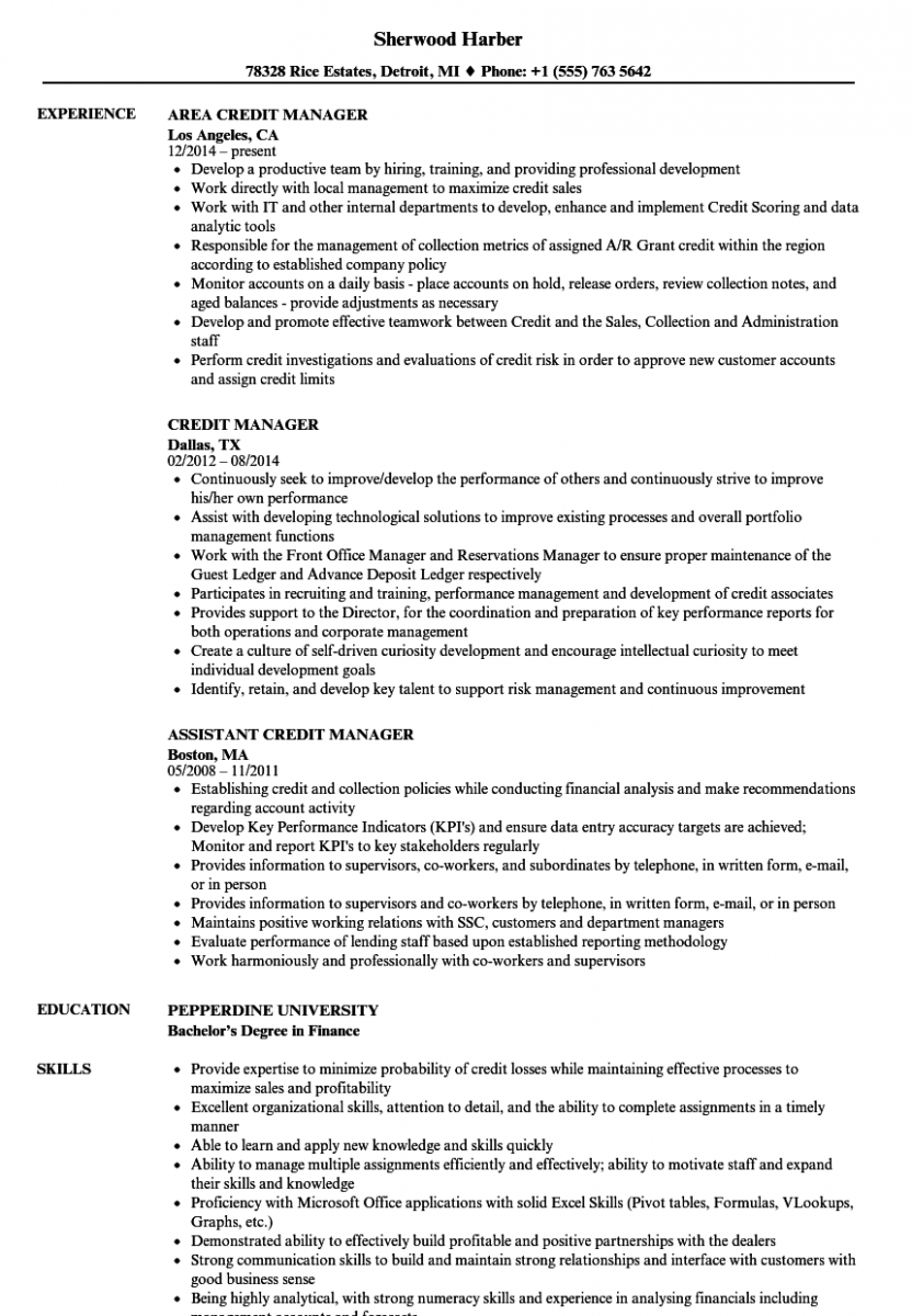 credit manager resume sample credit manager resume sample