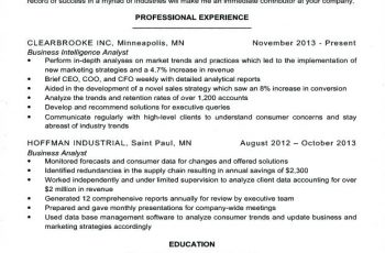 program analyst resume management examples and samples