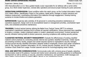 security manager resume samples