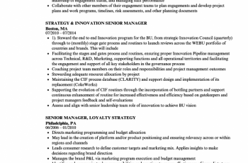 strategy manager senior manager resume sample