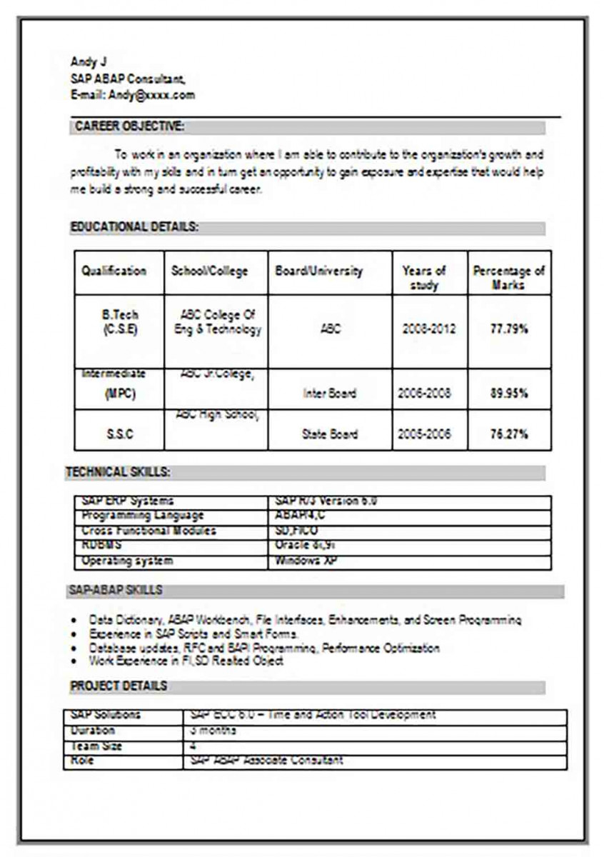 CV Format For a SAP Consultant CV Format For a SAP Consultant