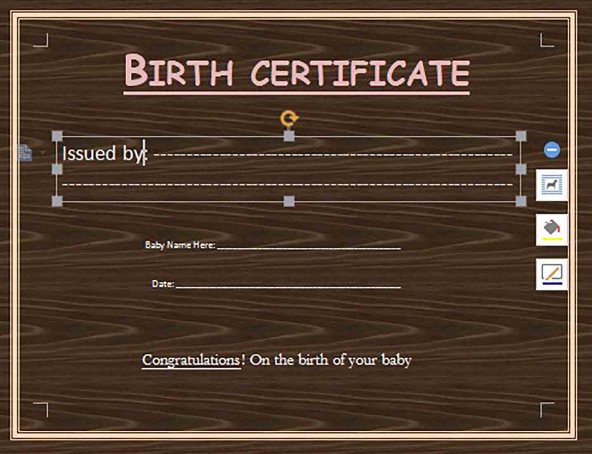 Editable Birth Certificate templates Word Format Editable Birth Certificate templates Word Format