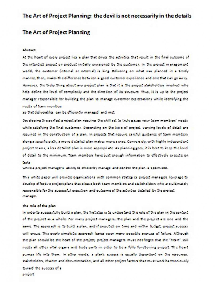 Project Plan White Paper Project Plan White Paper