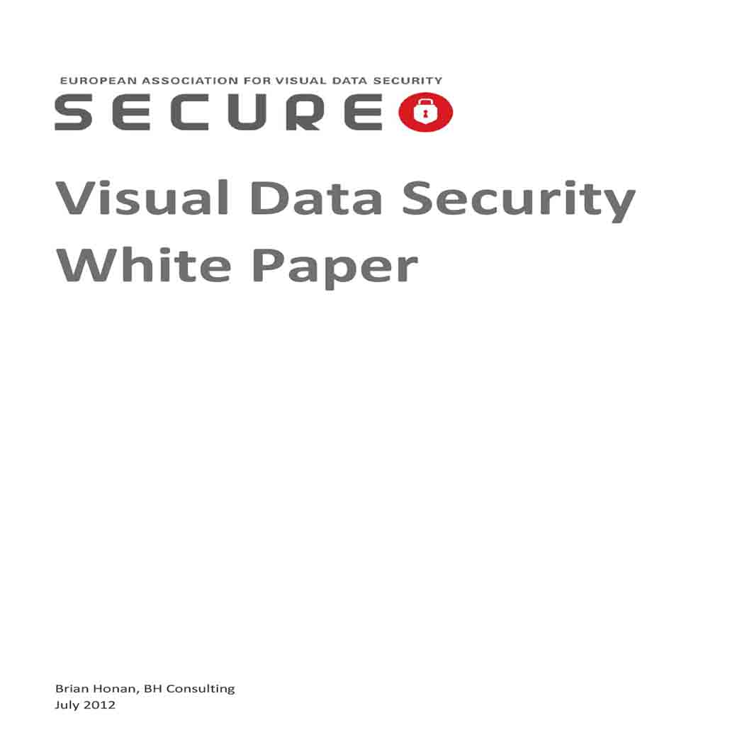 Visual Data Security White Paper 1 Visual Data Security White Paper 1