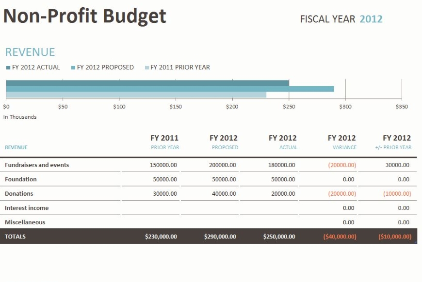 non profit budget template sample non profit budget template sample