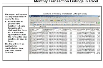 Access Monthly Report Template