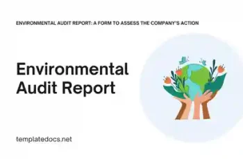 Environmental Audit Report A Form to Assess the Company’s Action Presentation